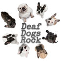 deafdogsrock-badge-125