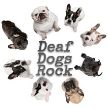 Deaf Dogs Rock!