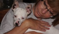 Meet Borris – Chi Mix – IL