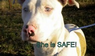 Deaf Blind Girl – SAFE