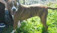 Meet Liza – Salt Lake City UT