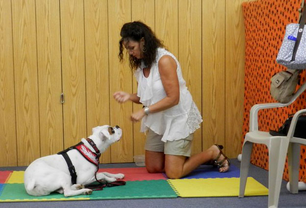 How do you train a deaf dog?