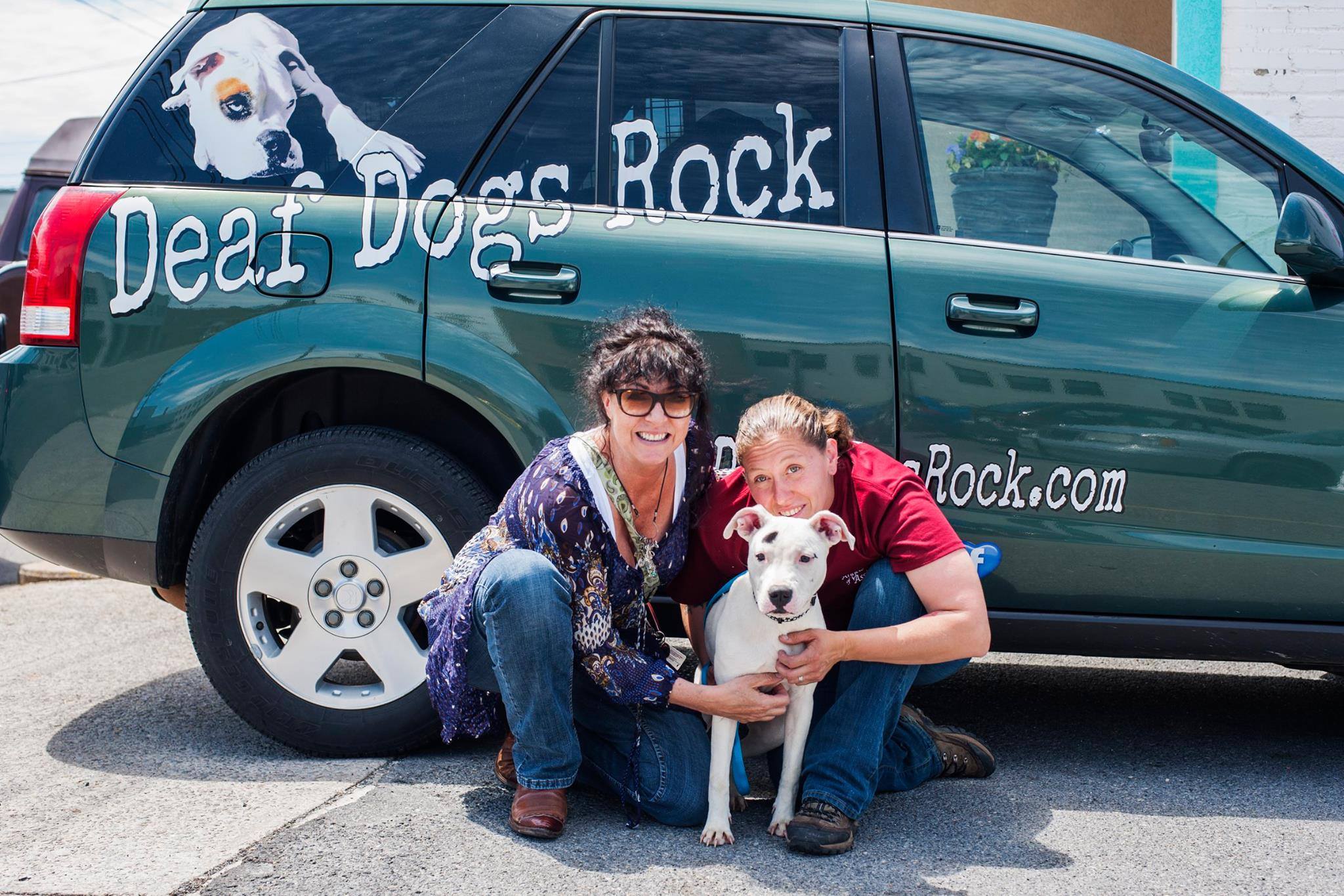 Harper – VA – Adopted – Deaf Dogs Rock