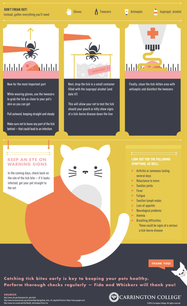 Check-For-and-Remove-Ticks-From-Your-Pets-Infographic (1)