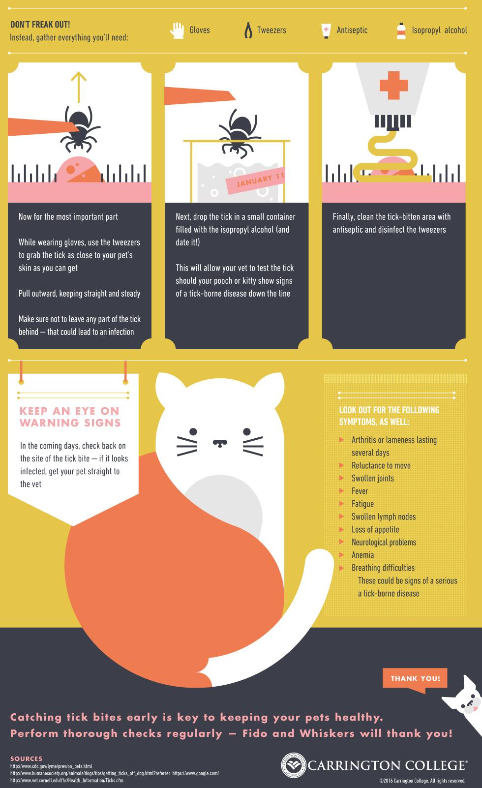 Photo inspiration: Fresh Look at Tips For Preventing Tick Borne Illness