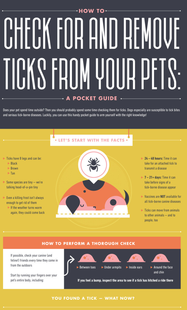 Check-For-and-Remove-Ticks-From-Your-Pets-Infographic