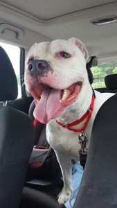 raynefreedomride1