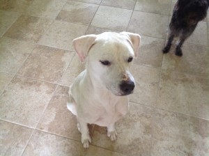 IMG_0675