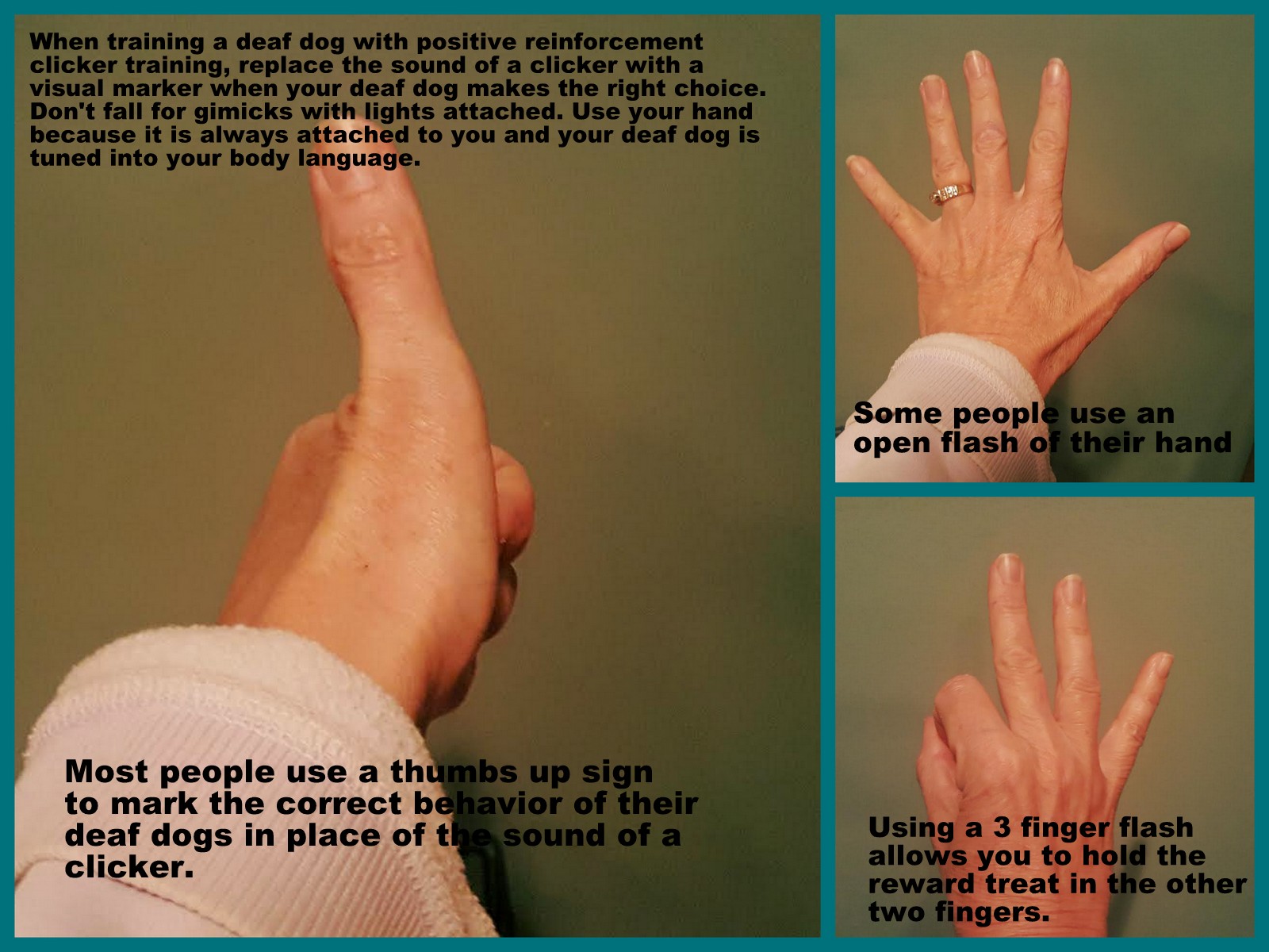 hand signals for deaf dogs