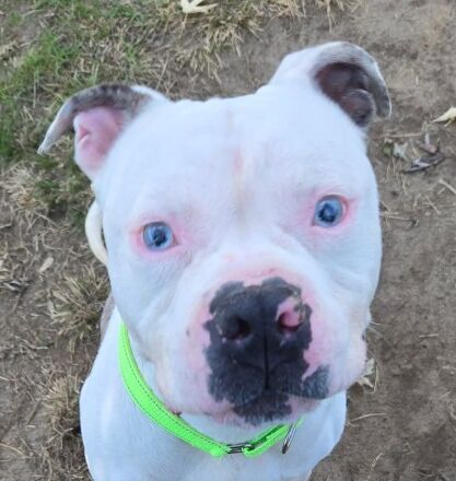 FB_IMG_1765232212334