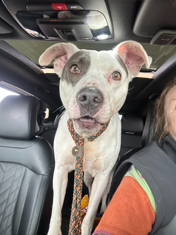 Athènes – Ohio – Rocher du chien sourd