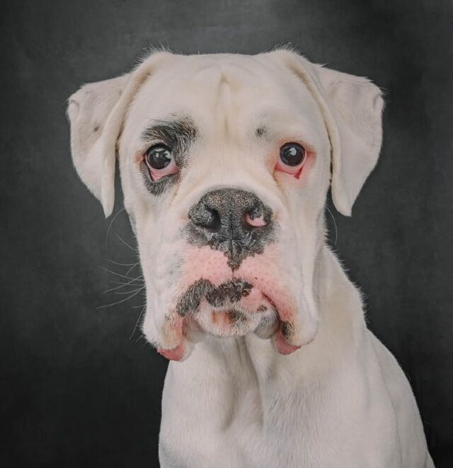 649114809_10111518595419433_6405526489868900287_n1