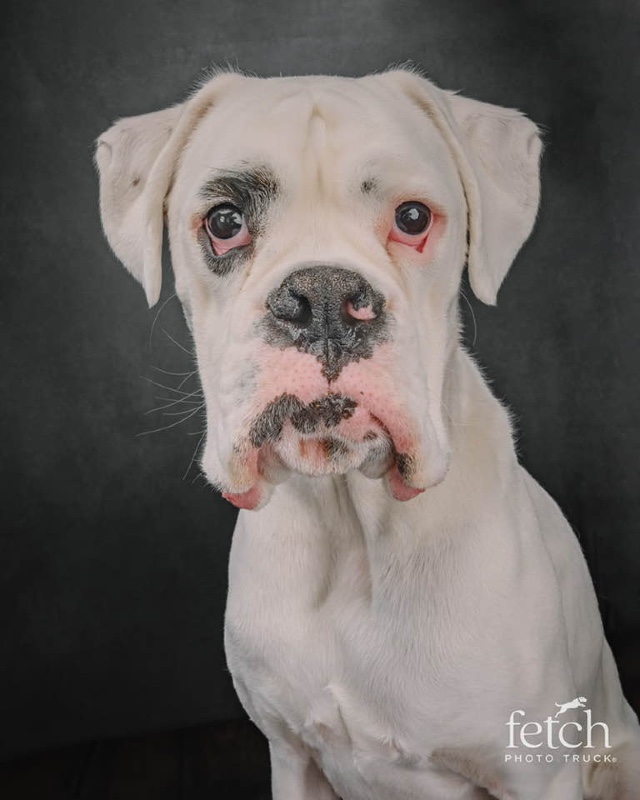 Cadence – CO – Deaf Dogs Rock