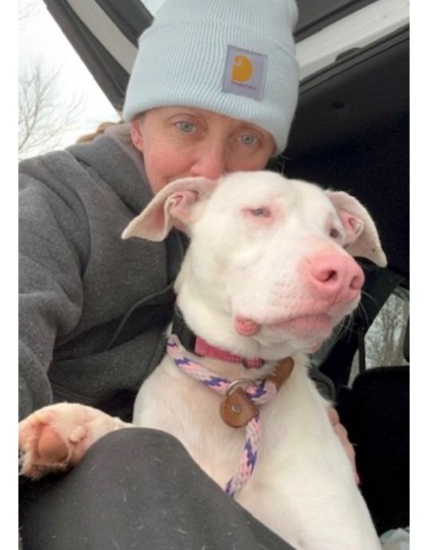 Cassie – NY – Deaf Dogs Rock